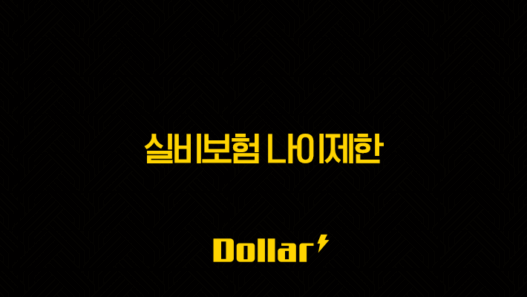 실비보험 나이제한 완벽정리: 70대 80대 가입 가능할까? 노후 실손까지 총정리! 49