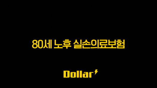 80세 노후 실손의료보험, 든든한 노후 준비의 시작! 가입부터 활용까지 총정리 37