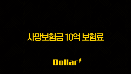 사망보험금 10억 보험료(+ 현명하게 준비하는 방법 알아보기) 29