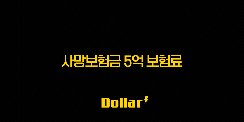 사망보험금 5억 보험료(+ 나에게 맞는 금액은 얼마일까요?) 13 image 36