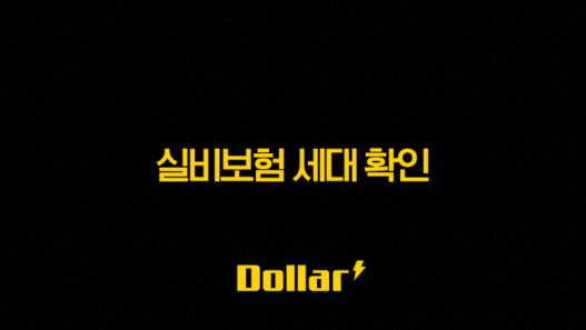 실비보험 세대 확인 - 놓치면 후회! 내 보험 등급(1~4세대) 바로 아는 법 총정리 41