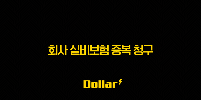 회사 실비보험 중복 청구, 숨겨진 보험금 100% 받는 비결(+ 핵심 총정리) 13 image 43