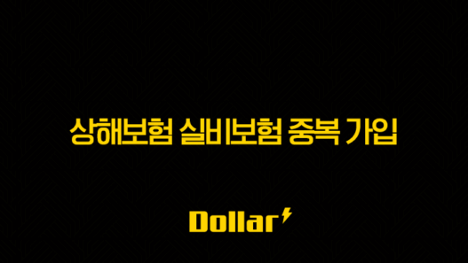 상해보험 실비보험 중복 가입(+ 현명하게 보장받는 완벽 가이드!) 37