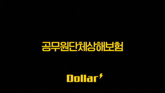 공무원단체상해보험 든든한 울타리, 놓치지 말아야 할 핵심 혜택 총정리! 49