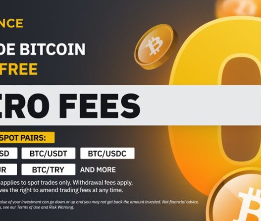 바이낸스 수수료 할인 완벽 가이드 - BNB, VIP 등급 활용법 총정리! (2025년 최신) 53