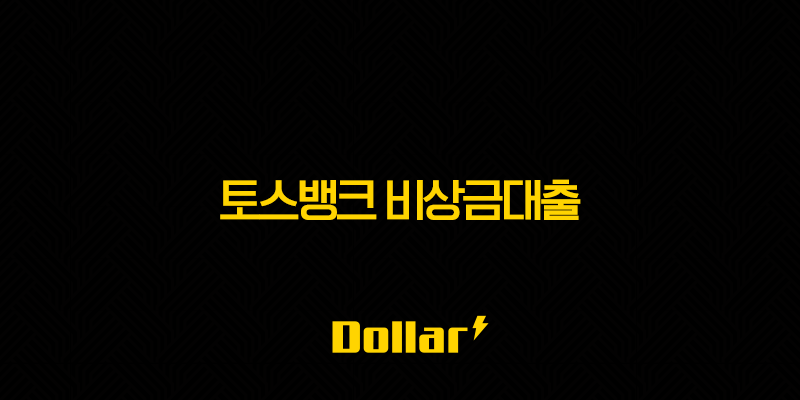 토스뱅크 비상금대출 조건 금리 한도 후기 완벽정리 (2025년 최신정보) 13 image 113