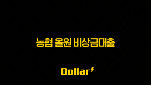 농협 올원 비상금대출 - 어떤 상품인지 먼저 알아볼까요? 41