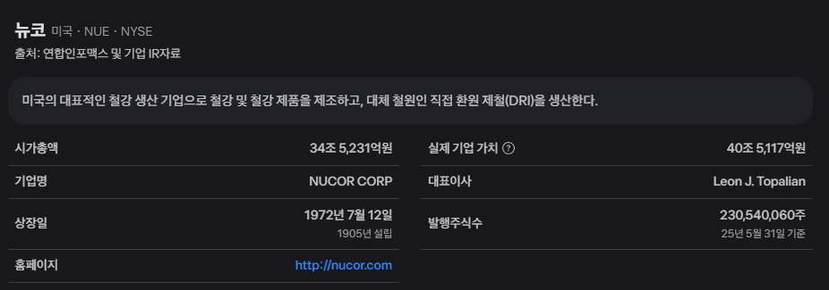 뉴코 주가 전망 투자 전략 및 핵심 분석 16 image 30