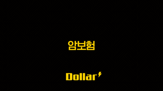 암보험, 왜 필요하고 어떻게 선택해야 할까? 29