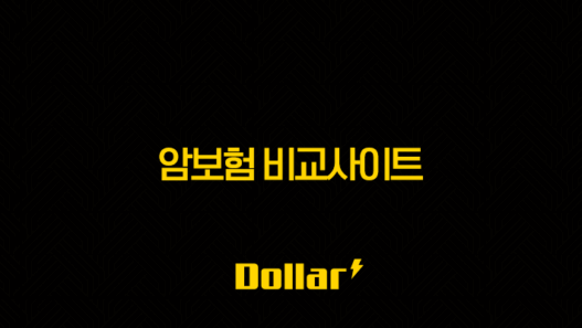 암보험 비교사이트 현명한 선택을 위한 완벽 가이드 25