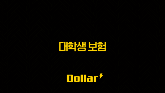 대학생 보험 현명하게 골라 미래를 대비하는 방법 41