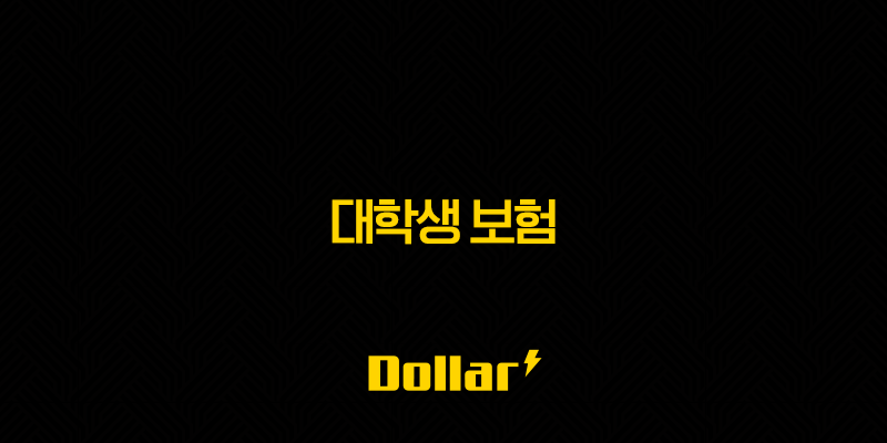 대학생 보험 현명하게 골라 미래를 대비하는 방법 13 image 643