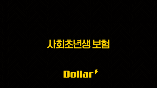 사회초년생 보험 가이드 첫 월급부터 시작하는 필수 보장 37