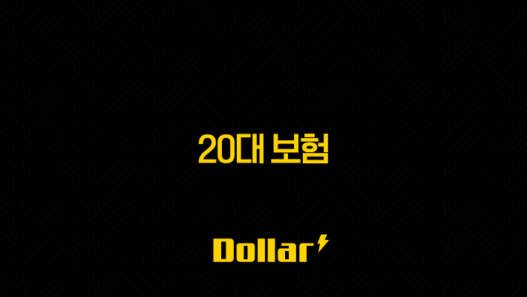 20대 보험 현명하게 선택하는 방법과 추천 상품 알아보기 33