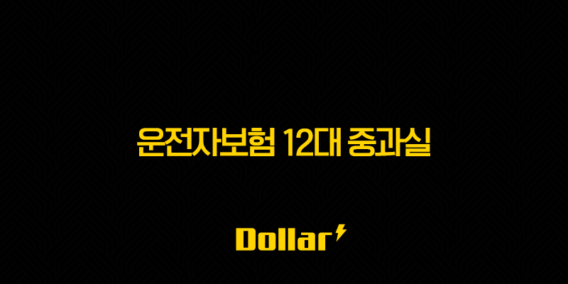운전자보험 12대 중과실(+ 모르면 큰일나는 이유 완벽정리) 13 image 646