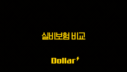 실비보험 비교 4세대 최신정보 완벽 가이드 33