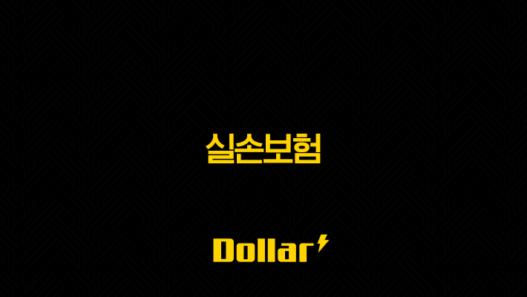 실손보험 완벽 가이드(+ 4세대 전환부터 보험료 절약 꿀팁까지) 29