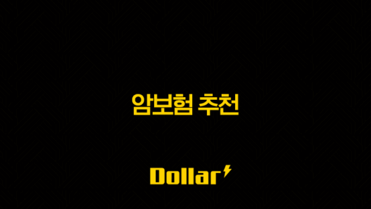 2025년 암보험 추천 완벽 가이드 갱신형과 비갱신형 비교 분석 41