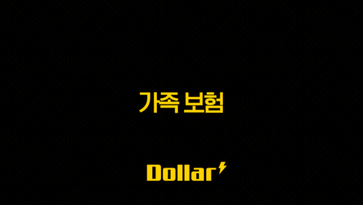 가족 보험(+ 우리 가족의 든든한 미래를 위한 필수 설계) 49