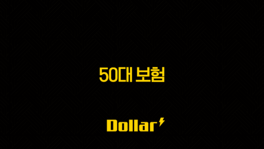 50대 보험(+ 은퇴 후 삶의 질을 결정하는 마지막 골든타임) 25