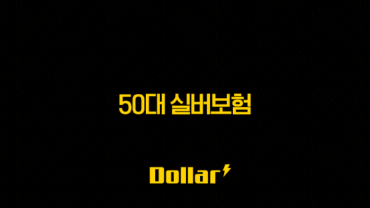 50대 실버보험 가입(+ 더 이상 미룰 수 없는 이유와 현명한 선택 방법) 53