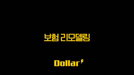 보험 리모델링(+ 내 돈 새는 구멍 막는 가장 확실한 방법) 49