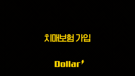 치매보험 가입(+ 더 이상 미룰 수 없는 이유와 현명한 선택 가이드) 41