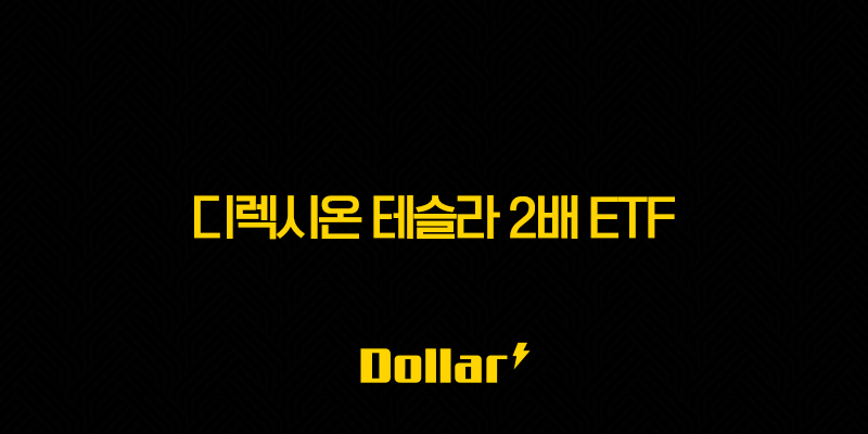 디렉시온 테슬라 2배 ETF 주가 전망 심층 분석 13 image 781