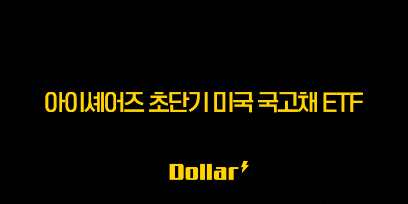 아이셰어즈 초단기 미국 국고채 ETF SHV 주가 전망 및 투자 전략 13 image 870