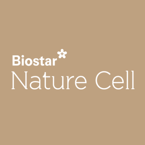 네이처셀(+ 주가 전망 조인트스템과 혁신 치료제 시장의 미래) 35