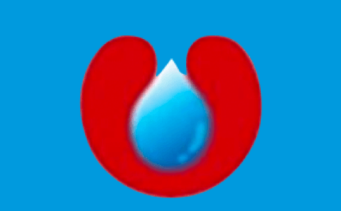 알테오젠 주가 전망 심층 분석과 투자 가이드 53