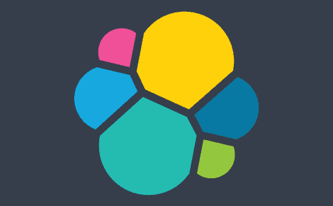 엘라스틱 주가 전망 및 기업 분석 53