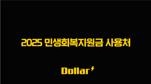 2025 민생회복지원금 사용처