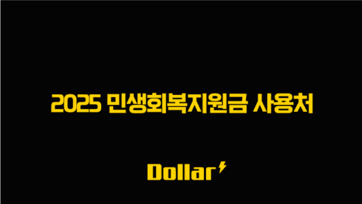 2025 민생회복지원금 사용처