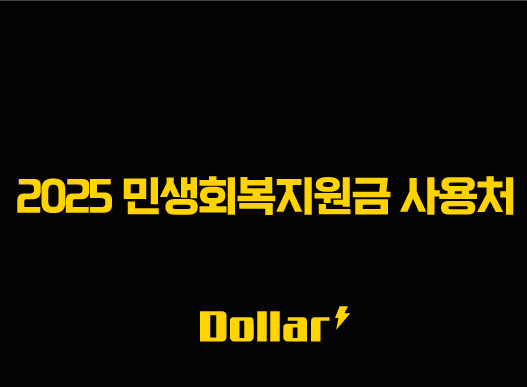2025 민생회복지원금 사용처