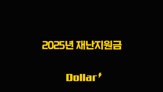 2025년 재난지원금