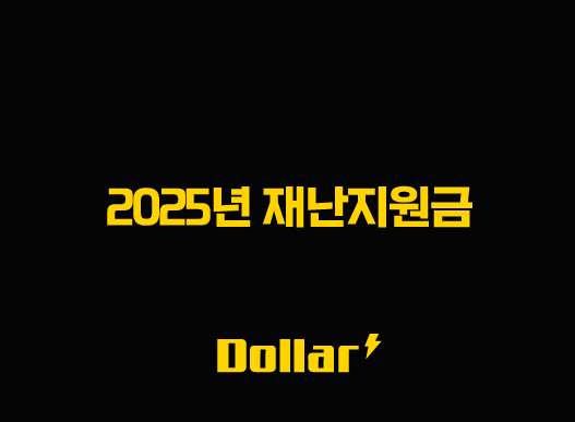 2025년 재난지원금