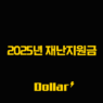 2025년 재난지원금