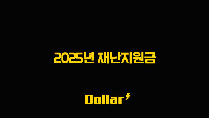 2025년 재난지원금