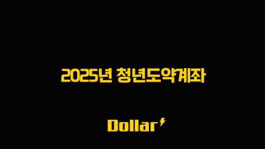 2025년 청년도약계좌