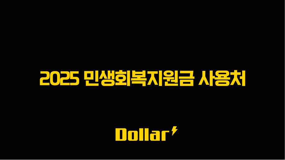 2025 민생회복지원금 사용처, 다이소부터 배달앱까지 완벽 정리 13 image 13