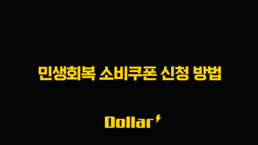 민생회복 소비쿠폰 신청 방법