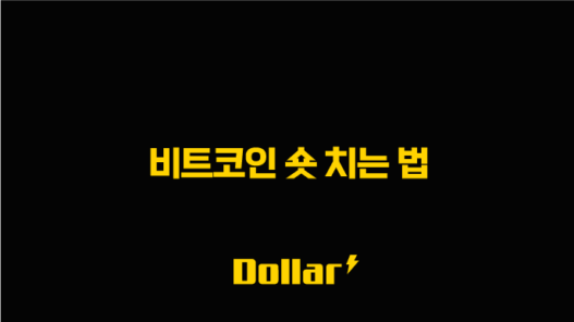 비트코인 숏 치는 법