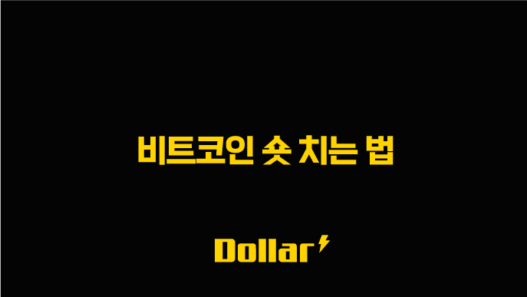 비트코인 숏 치는 법