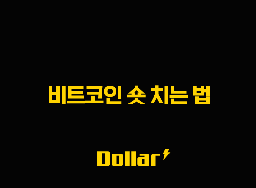 비트코인 숏 치는 법