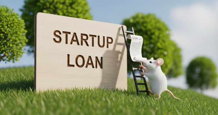 2025년 창업 대출 조건 완벽 가이드 | 정부지원금 한도, 금리, 자격 총정리 45 2025년 창업 대출 조건 완벽 가이드 | 정부지원금 한도, 금리, 자격 총정리 44