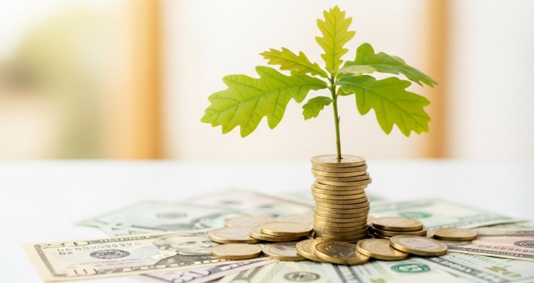 소상공인 대출, 정부 정책자금보다 빠른 2025년 비은행권 대출 완벽 비교 (저신용자, 무서류, 당일 승인) 401