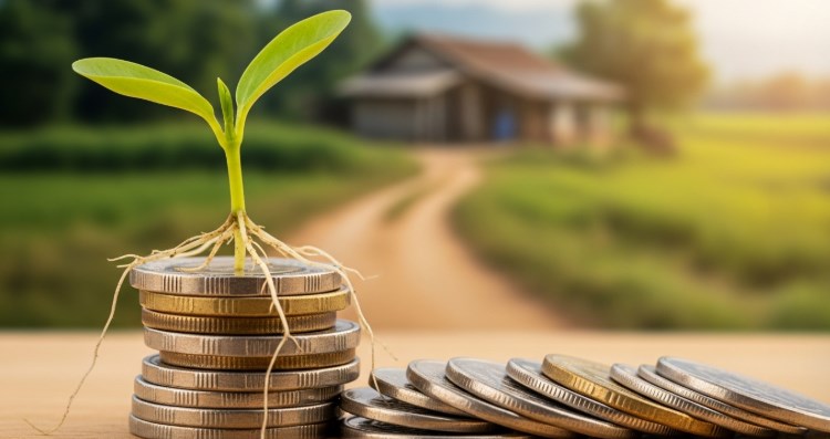 소액대출 급할수록 돌아가라 현명한 이용 방법과 저금리 승인 전략 총정리 35