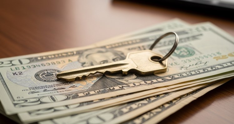 대출 A to Z 2025년 주택담보대출부터 신용대출까지 DSR 규제 속 한도 높이는 필승 전략 29