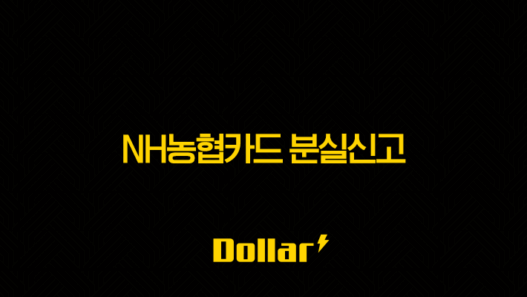 NH농협카드 분실신고 및 해지 방법 완벽정리 (ARS, 앱, 홈페이지) 53